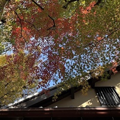 世田谷美術館分館 向井潤吉アトリエ館